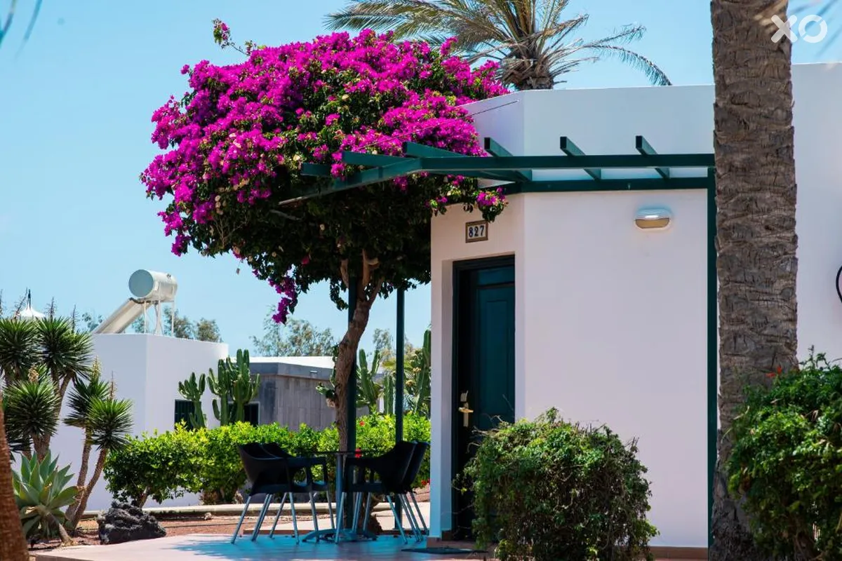 HL Club Playa Blanca Hotel
