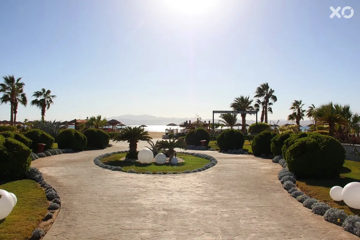 Sheraton Soma Bay Resort