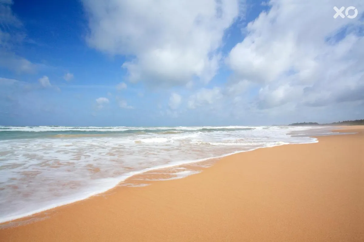 Centara Ceysands Resort & Spa Sri Lanka