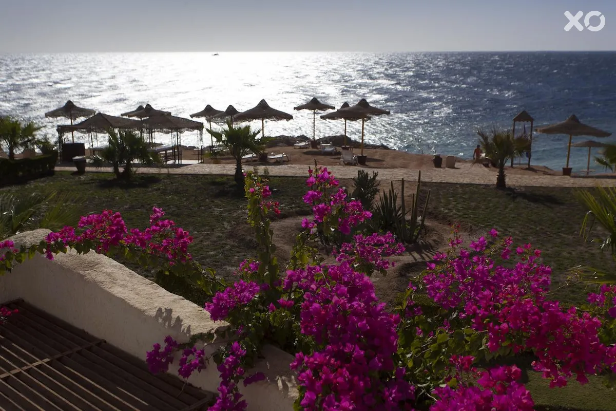 Sharm Club Beach Resort