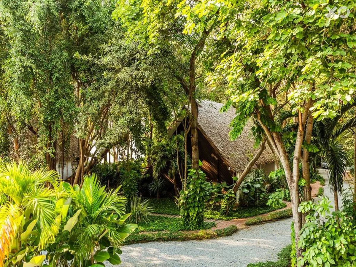 Floral Lux Hotel Monttra Pattaya