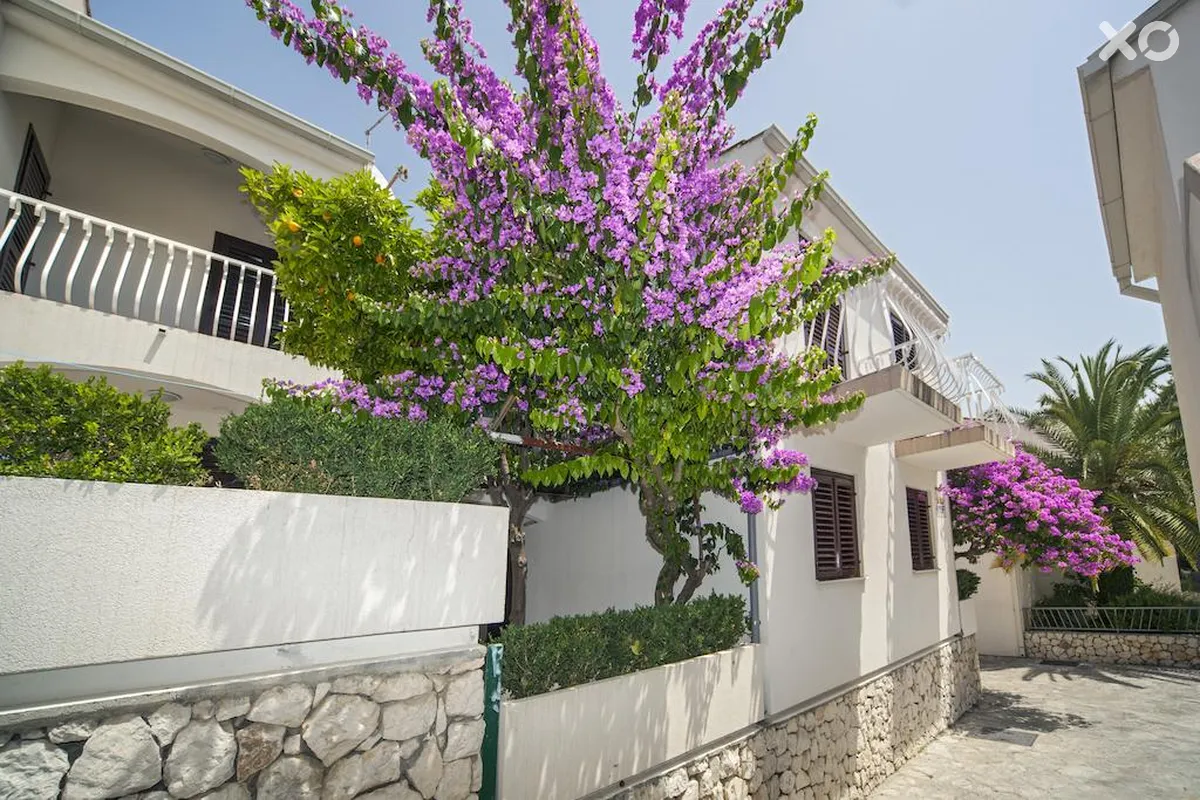Beach Apartments Lavica