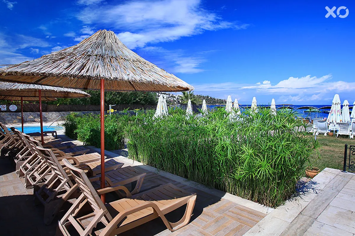 Cactus Fleur Beach Club