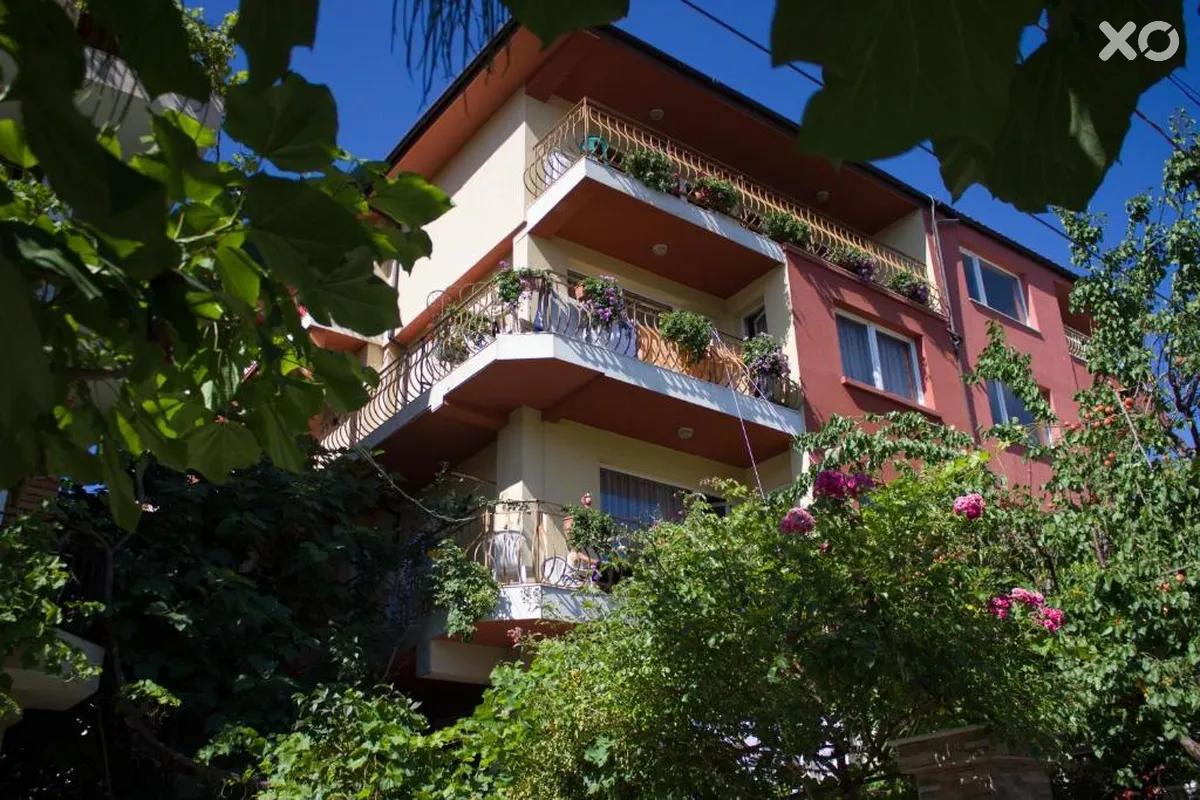 Violeta 7 Villa