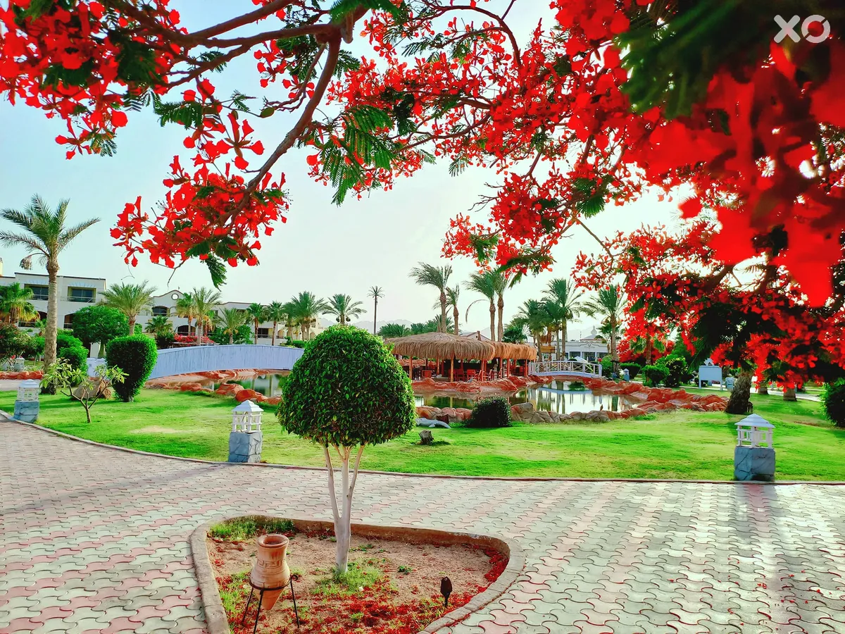 Regency Plaza Aqua Park & ​​Spa