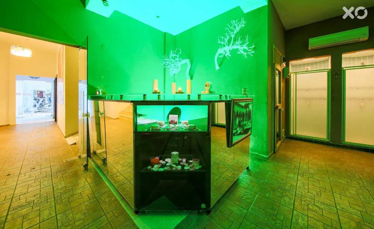 My Dream Hotel