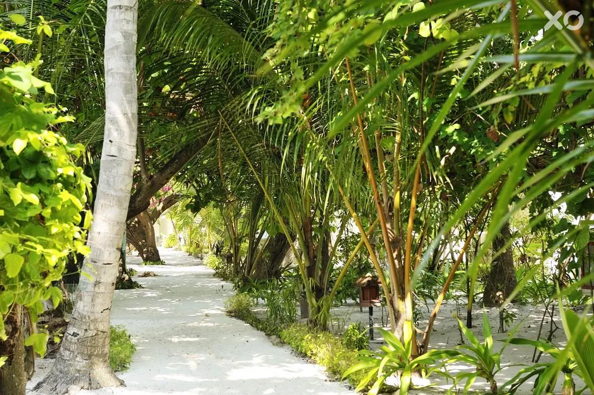 Eriyadu Island Resort