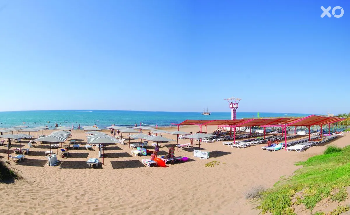 Sural Saray