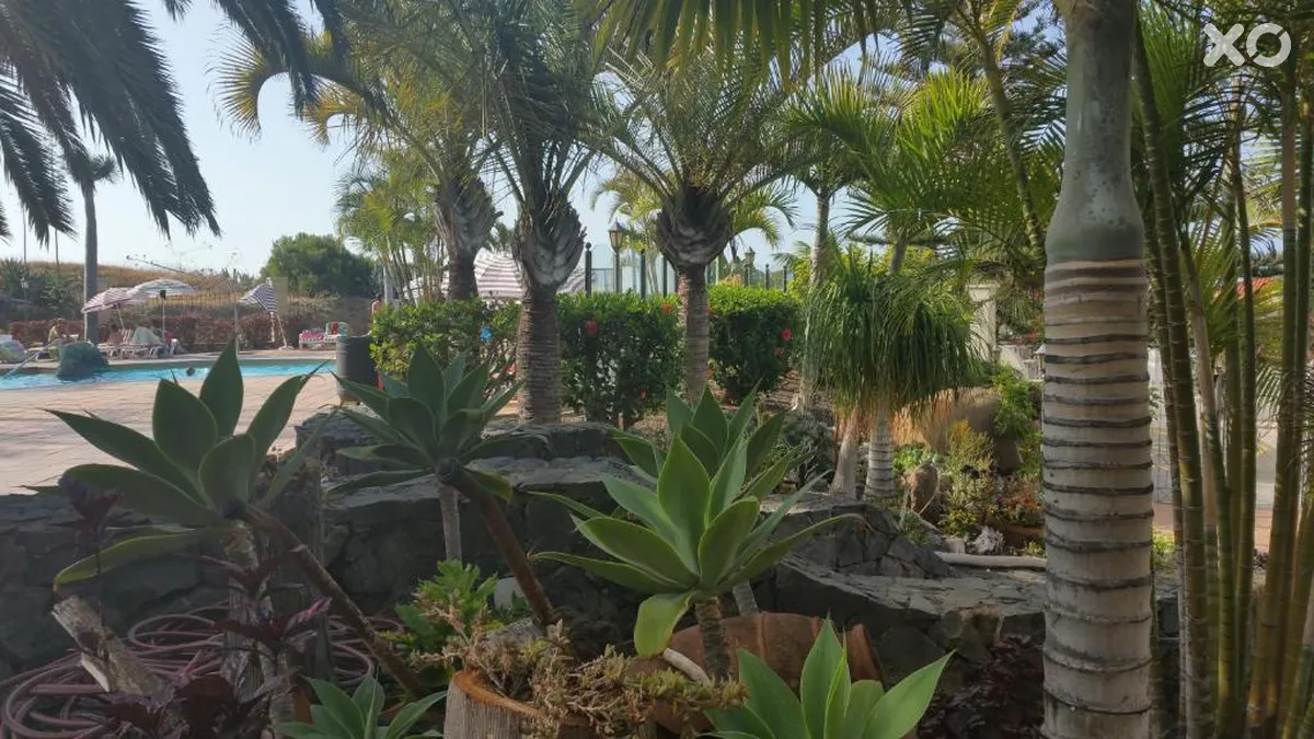 Playa de los Roques Apartments