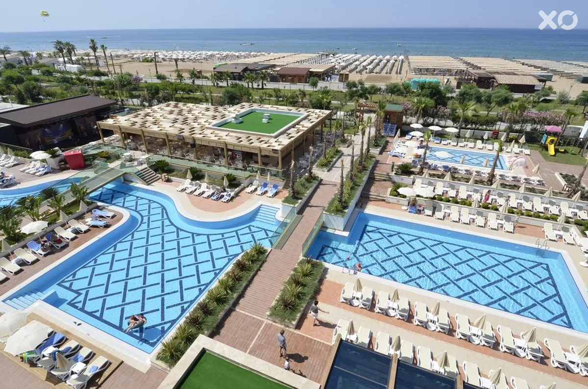 Trendy Verbena Beach