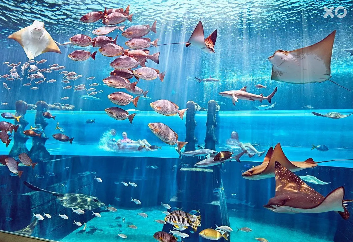 Atlantis The Palm