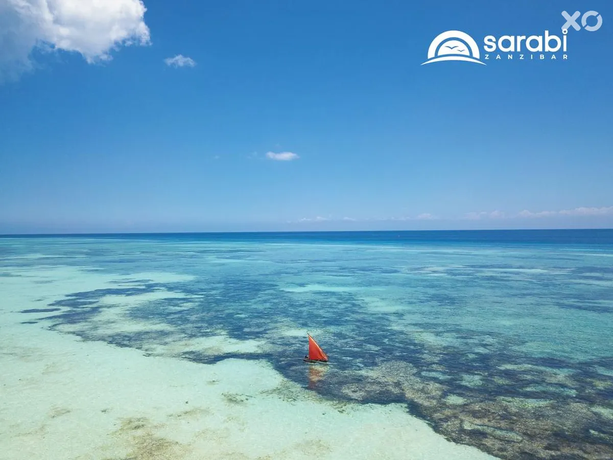 Mandarin Zanzibar