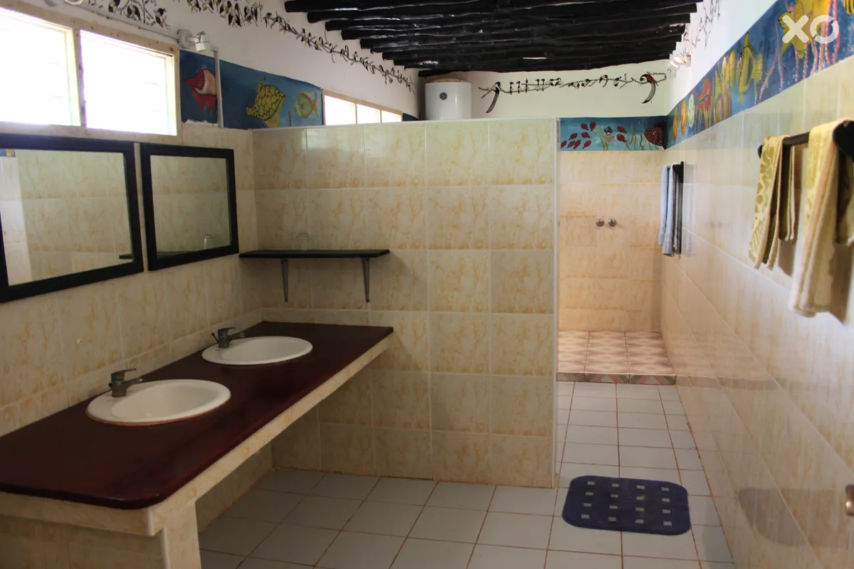 Nest Style Zanzibar