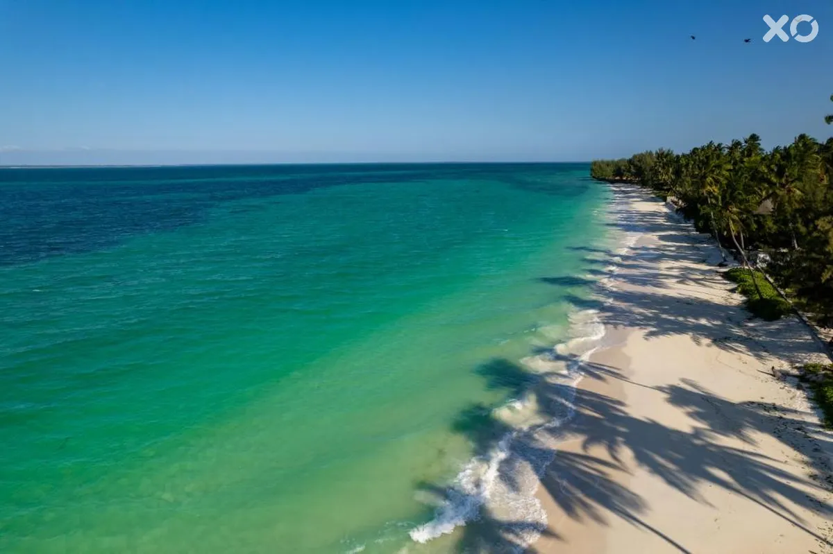 Sunny Palms Beach Bungalows