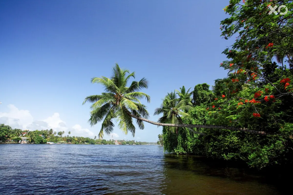 Centara Ceysands Resort & Spa Sri Lanka