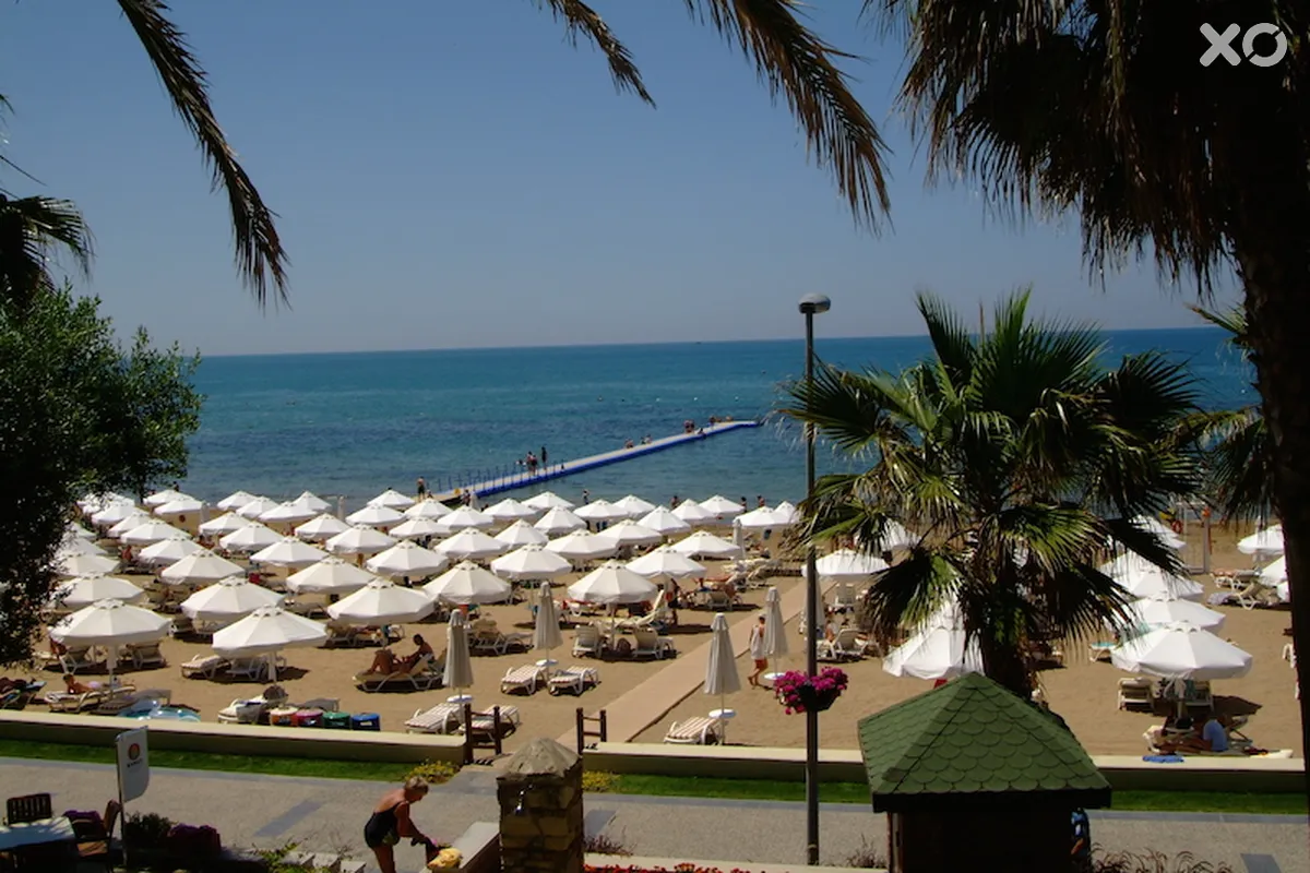 Barut Arum