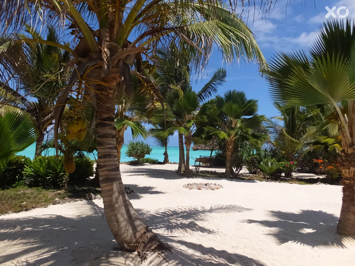 The Zanzibari Boutique Hotel