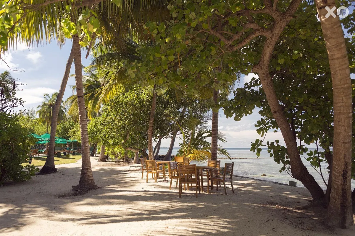 Equator Village