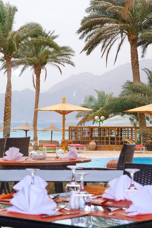 Dahab Lagoon Club & Resort