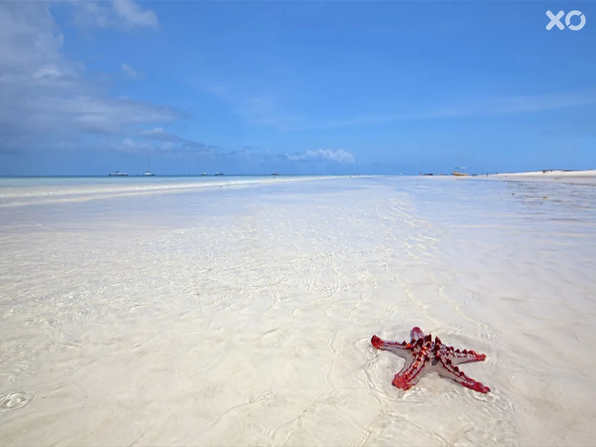 Palumboreef Beach Resort