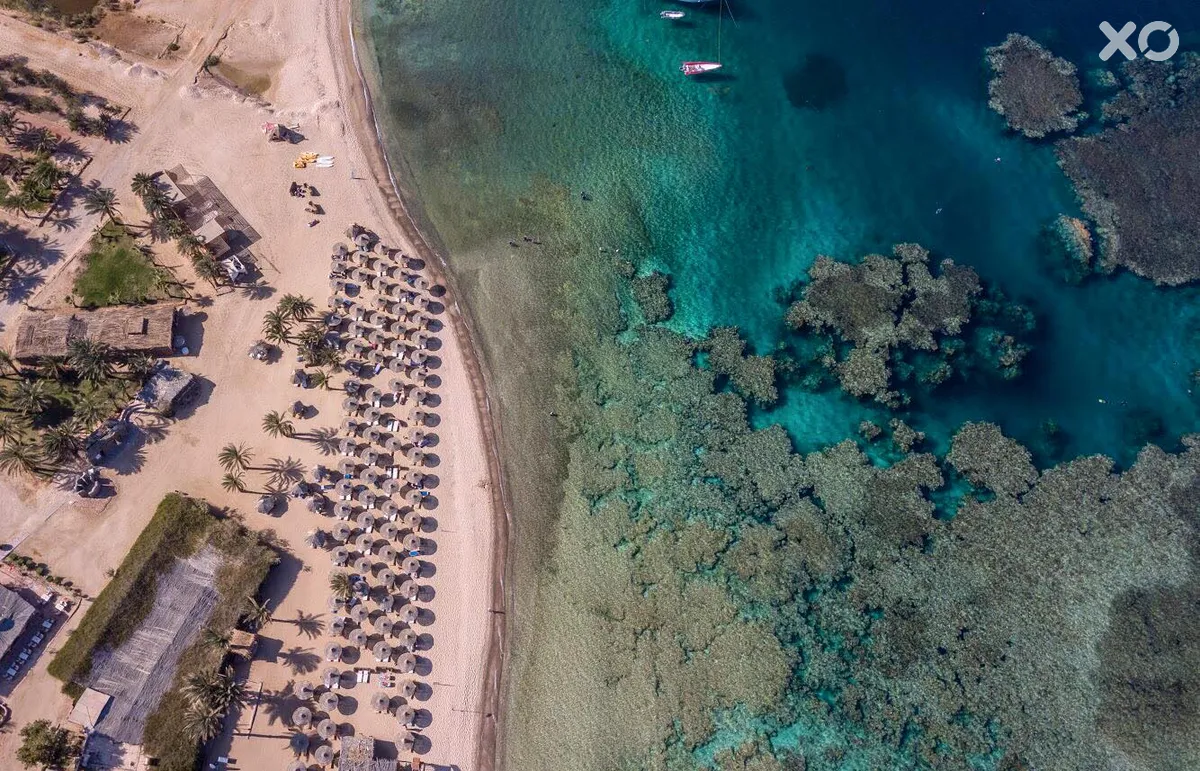 Utopia Beach Club