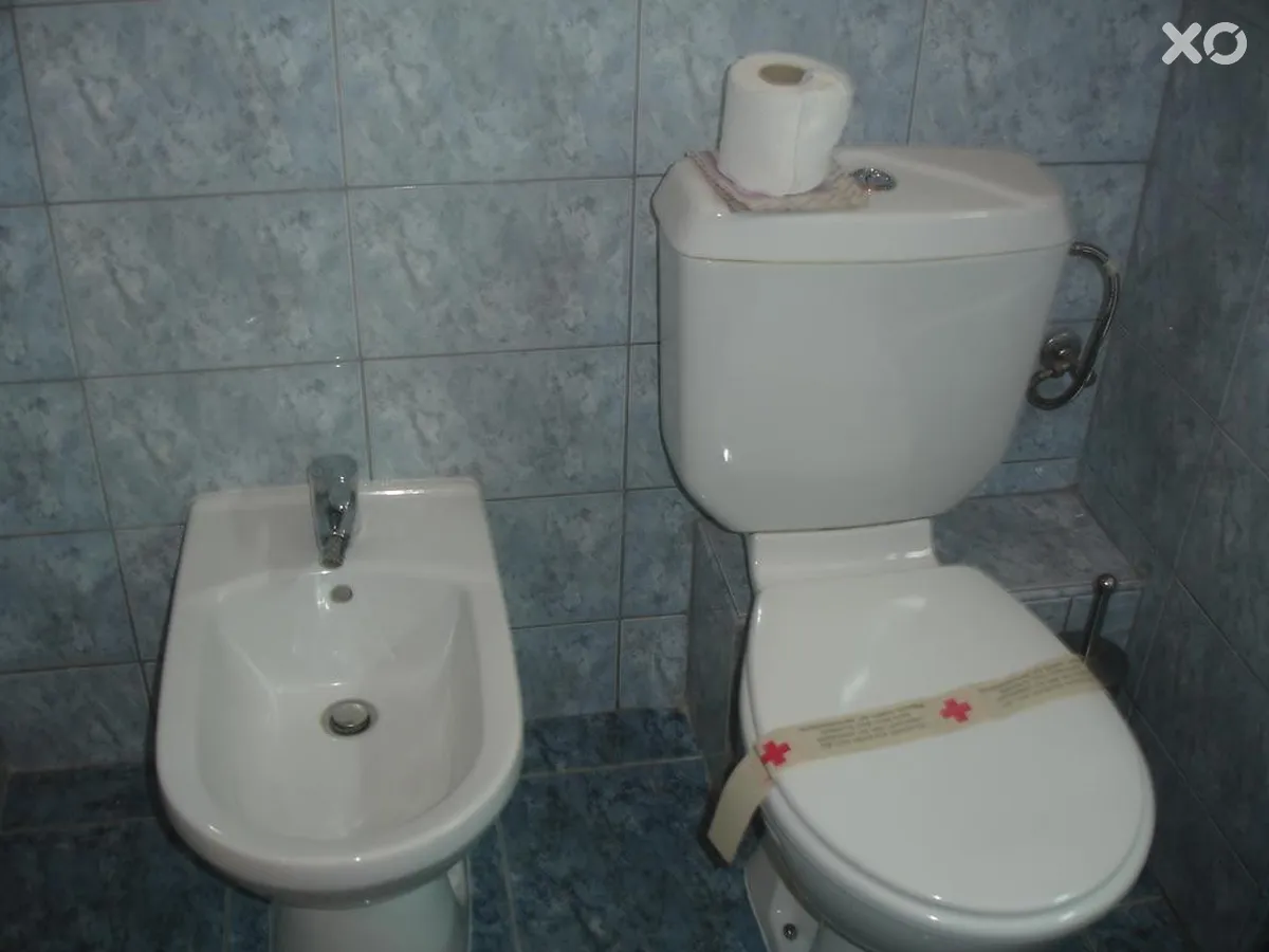 Аврора