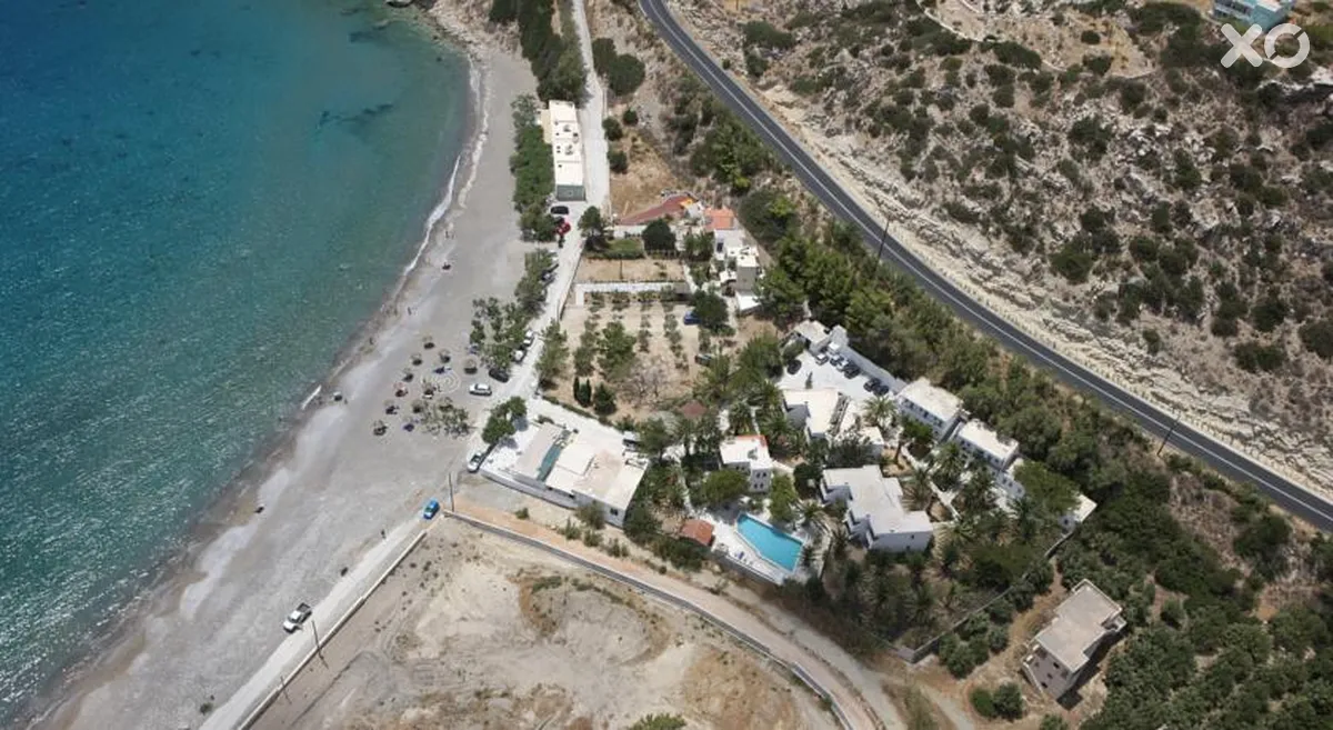 Avra Palm