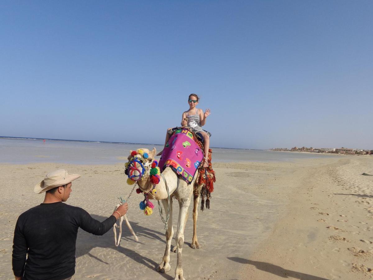 Protels Beach Club & SPA