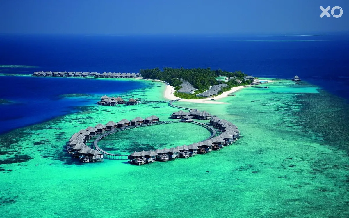 Coco Bodu Hithi
