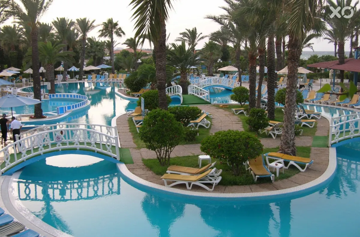 Riadh Palms