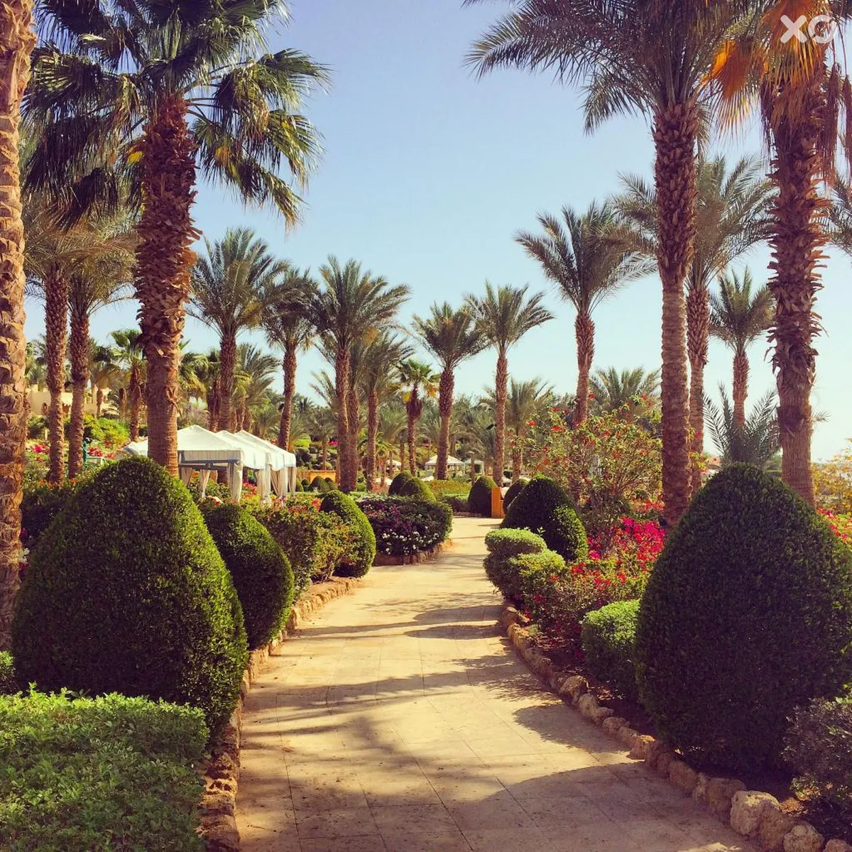 Four Seasons Resort Sharm El Sheikh