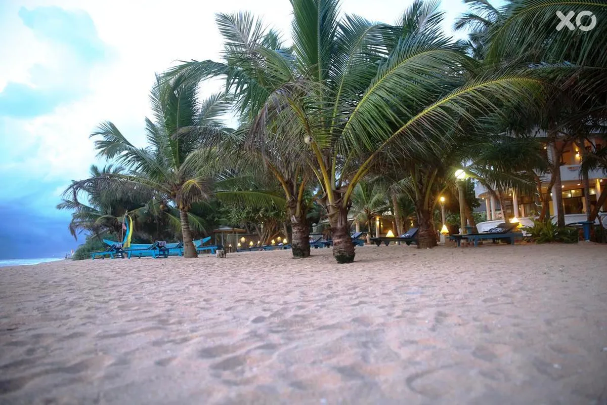 Oasey Beach Hotel