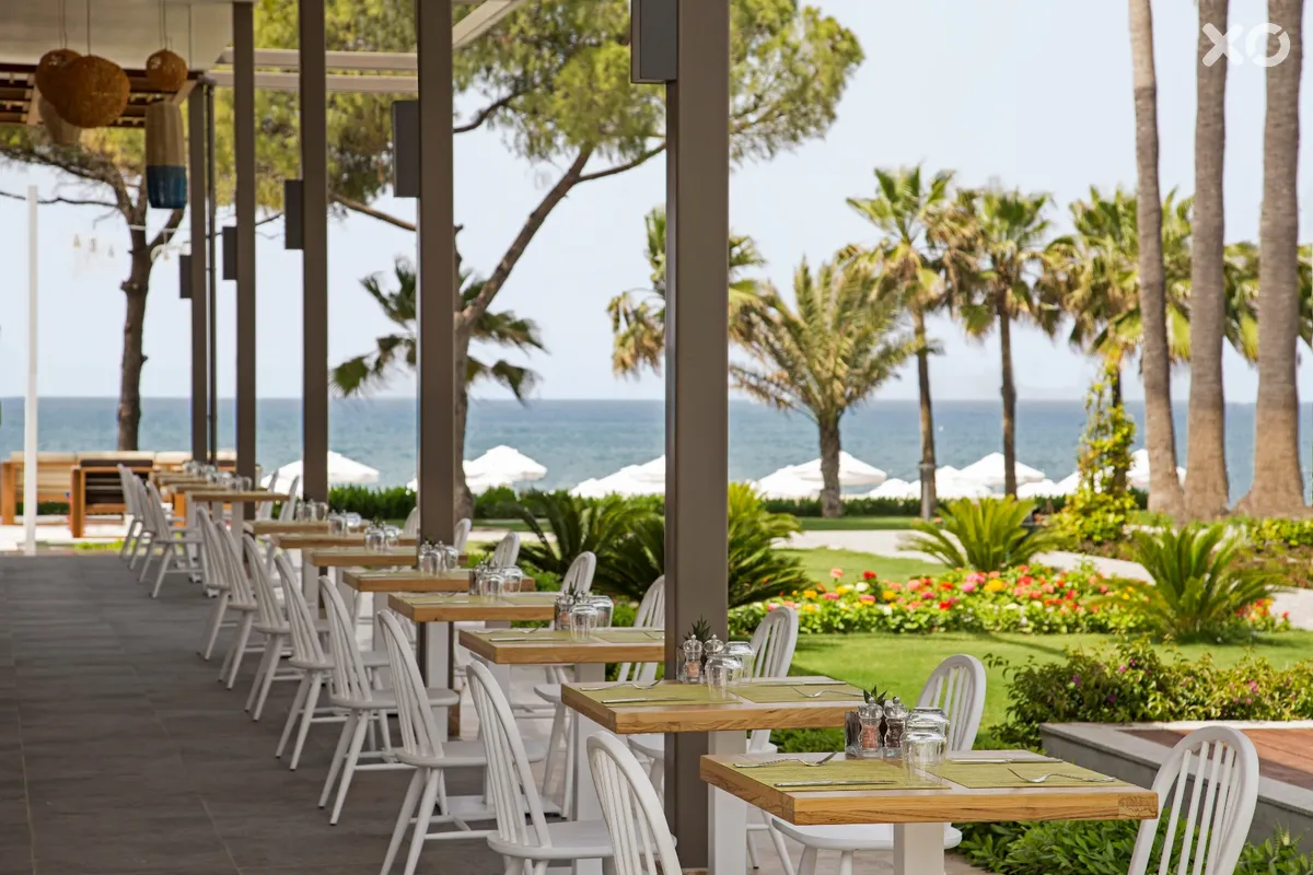 Acanthus Cennet Barut Collection