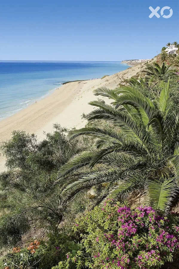Allsun Hotel Esquinzo Beach