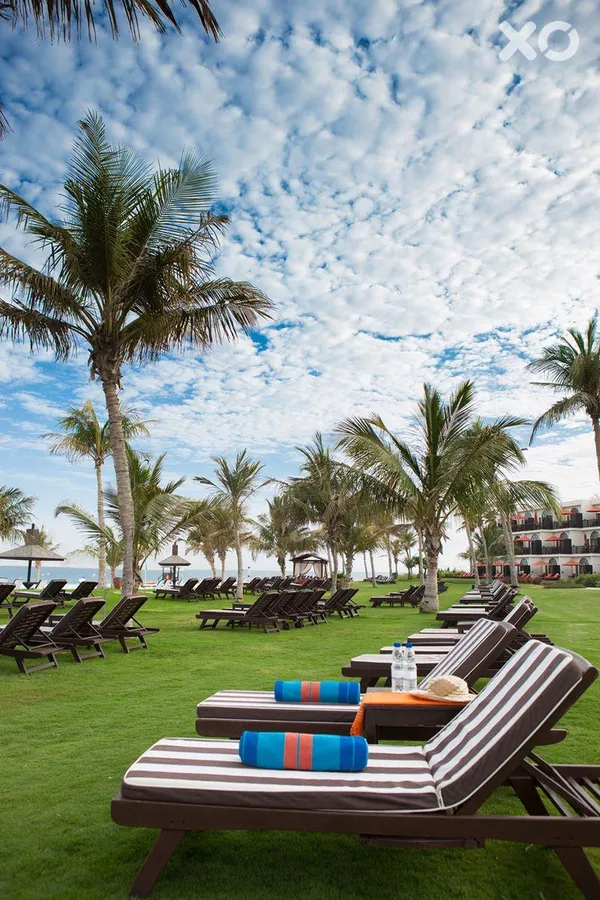 JA Palm Tree Court