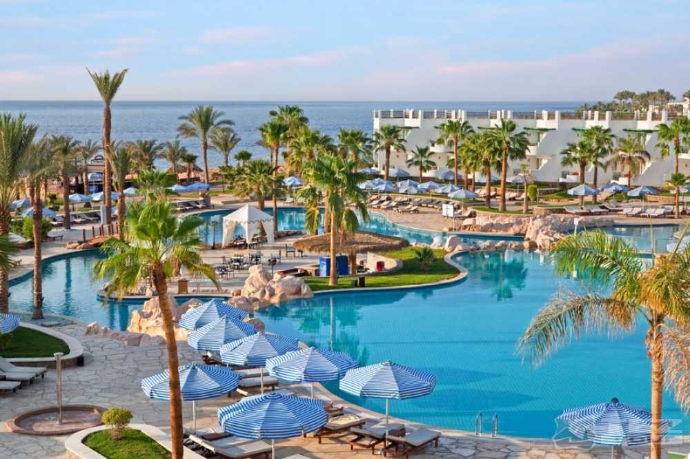 Top Pet Friendly Hotels чи куди звозити свого песика?