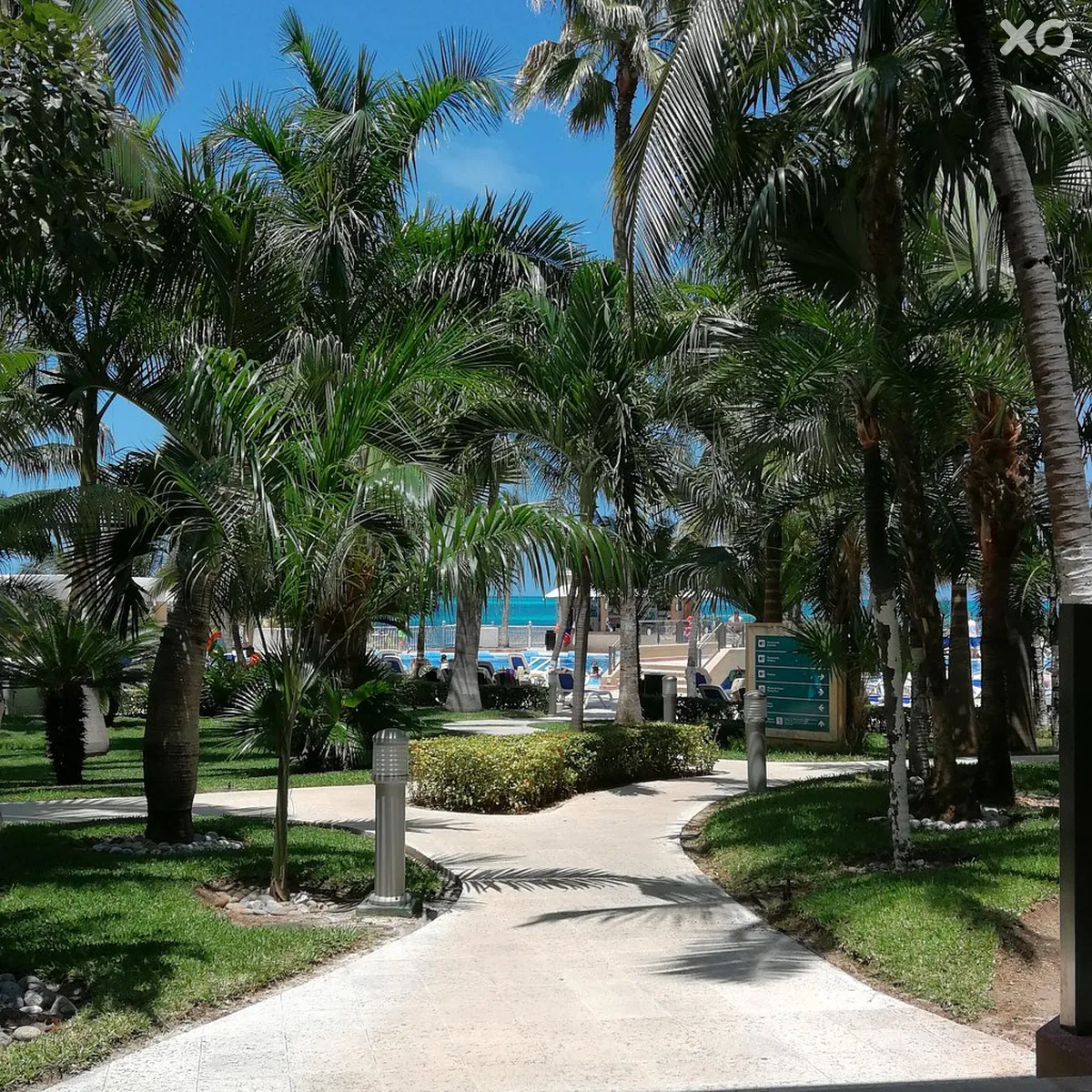 Riu Caribe Hotel