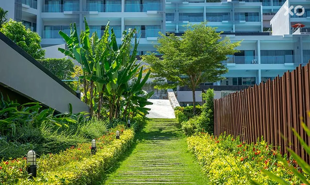 Patong Bay Hill