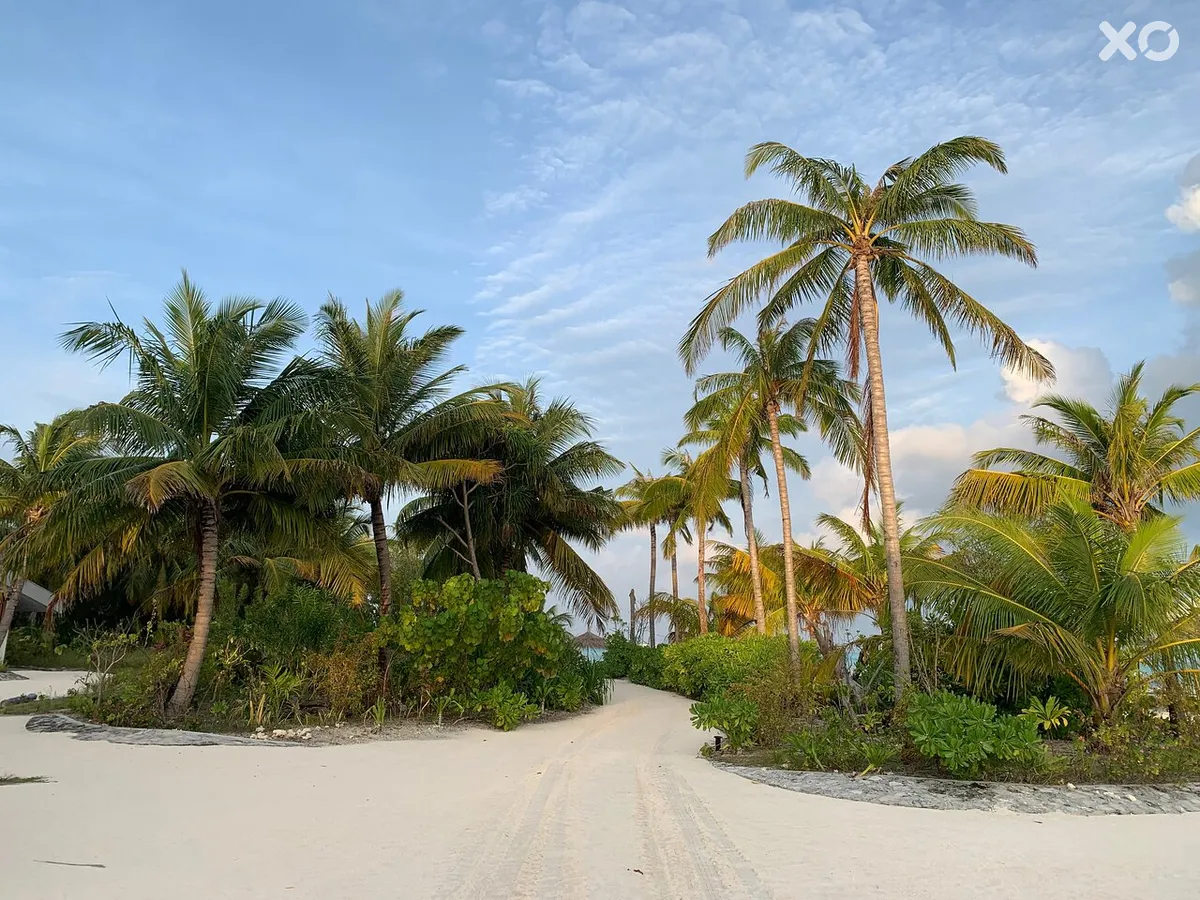 Rahaa Resort