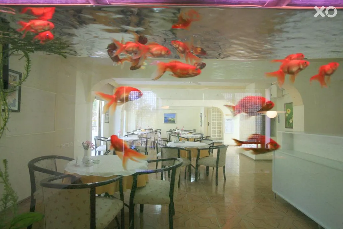 Saturn Hotel