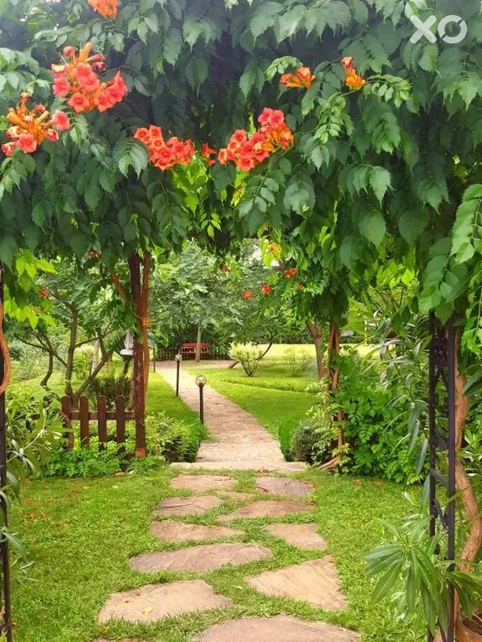 Liani Hotel