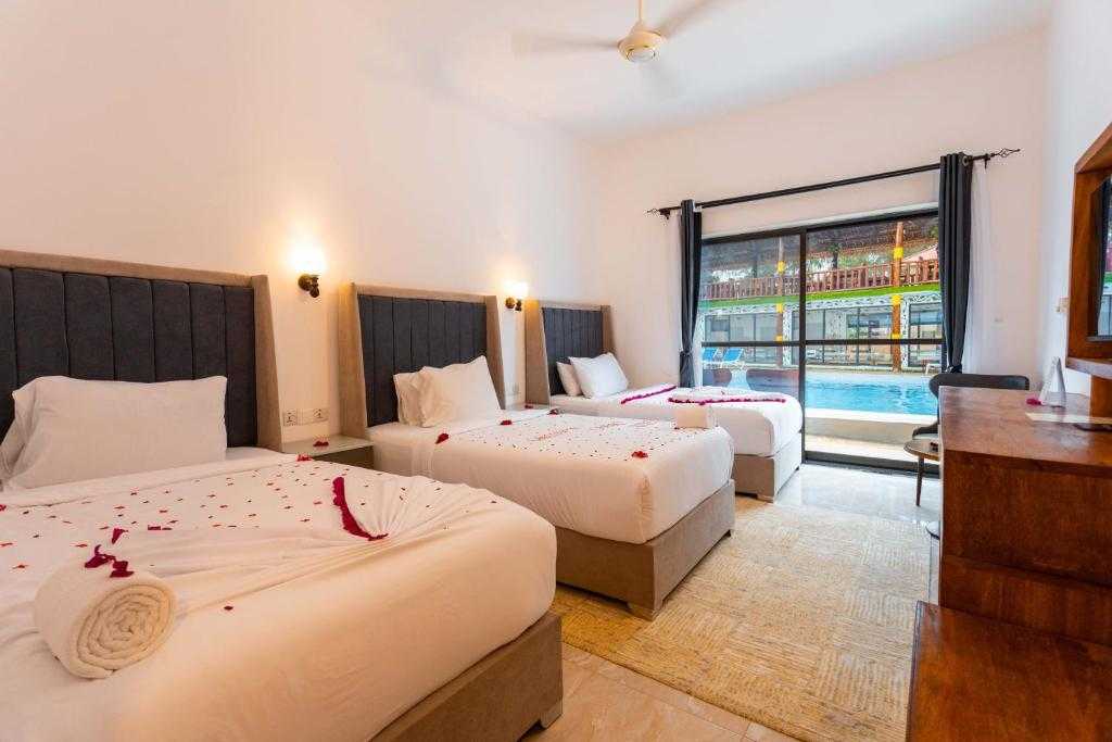 Нунгви зовет к морю! Песчаный пляж, пальмы и тропическое настроение