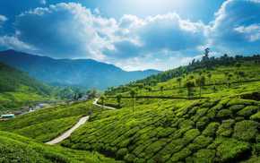 Туры в Кералу