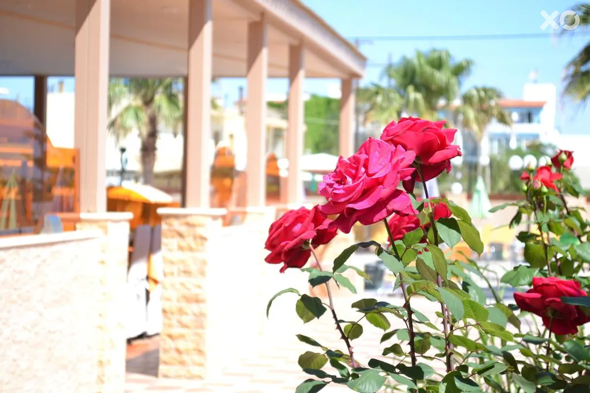 Palladion Hotel