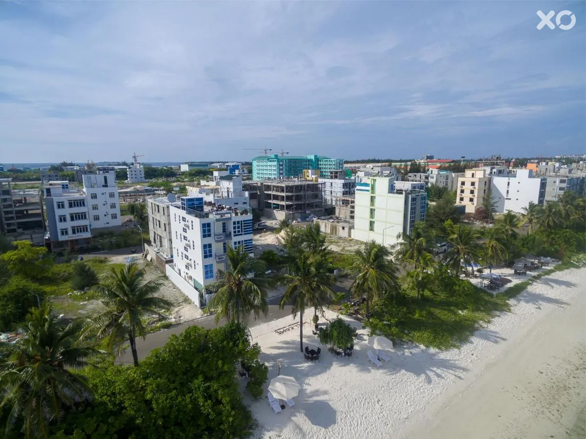 White Harp Beach