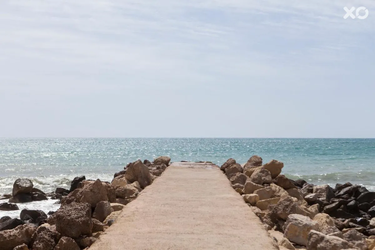 Albahia Alicante