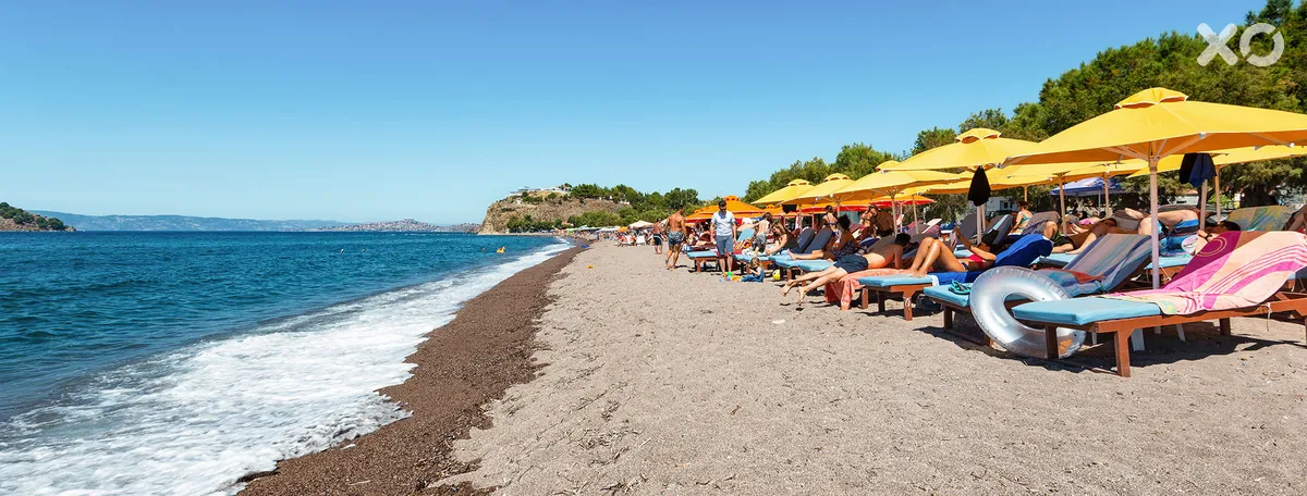 Nikos Studia