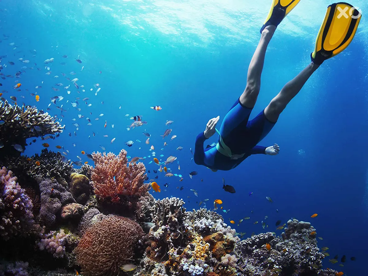 Furaveri Island Resort & Spa