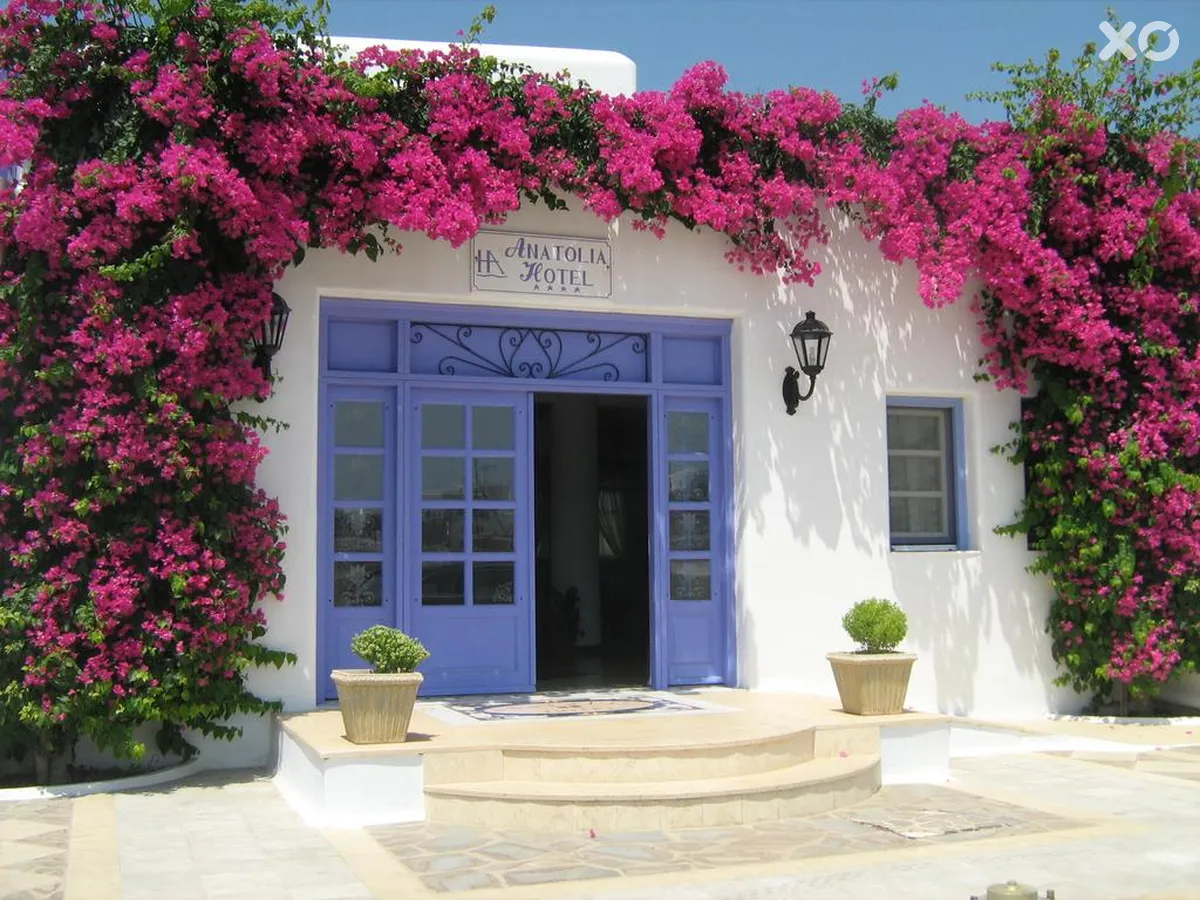 Anatolia Hotel