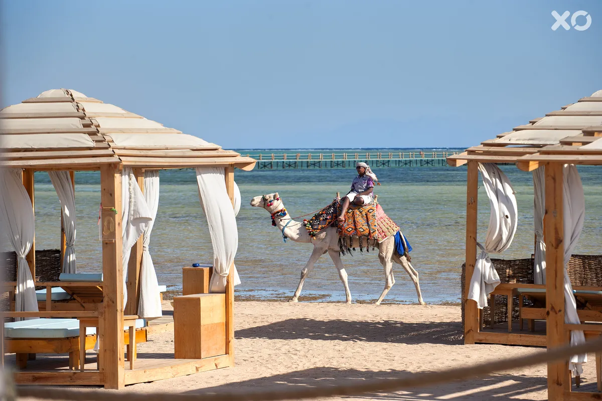 Amwaj Oyoun Resort & Spa
